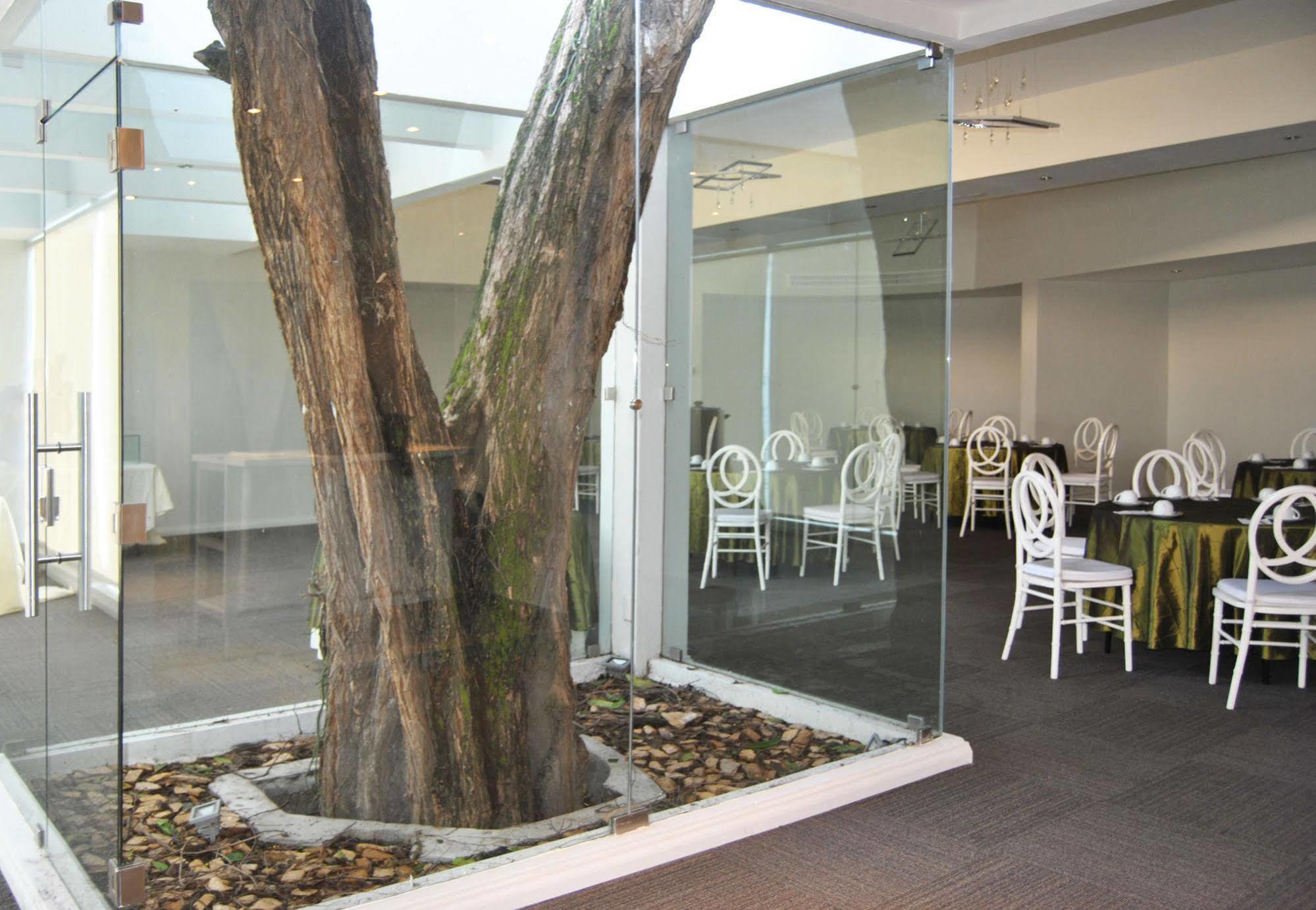 Hotel Los Andes San Pedro Sula Exterior foto